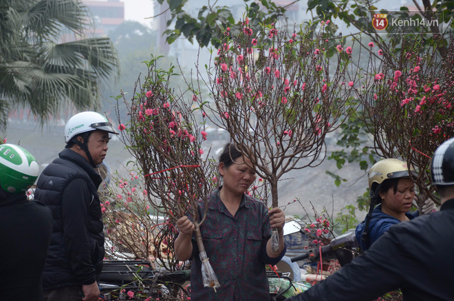 Người mua hoa lý giải việc phải chờ đến ngày 29, 30 Tết: Cũng vì nhiều người bán hét giá cao quá!